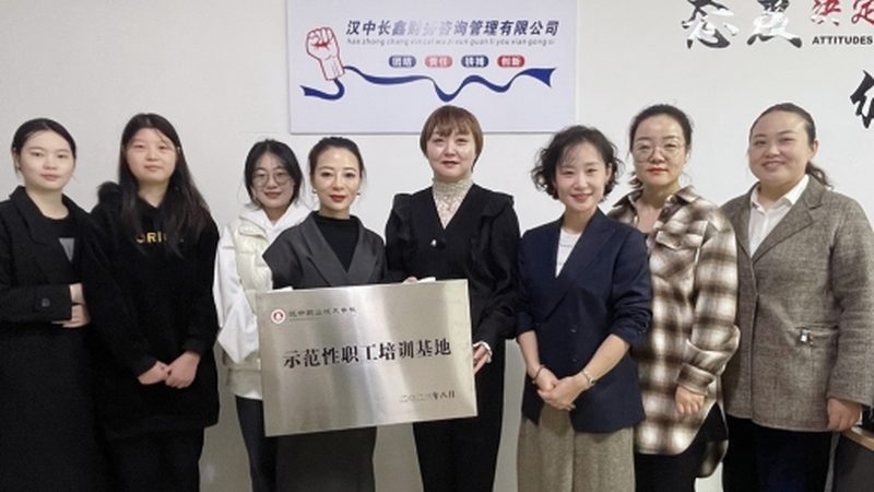 薪酬绩效咨询全流程揭秘：从诊断到落地，如何优化企业薪酬体系